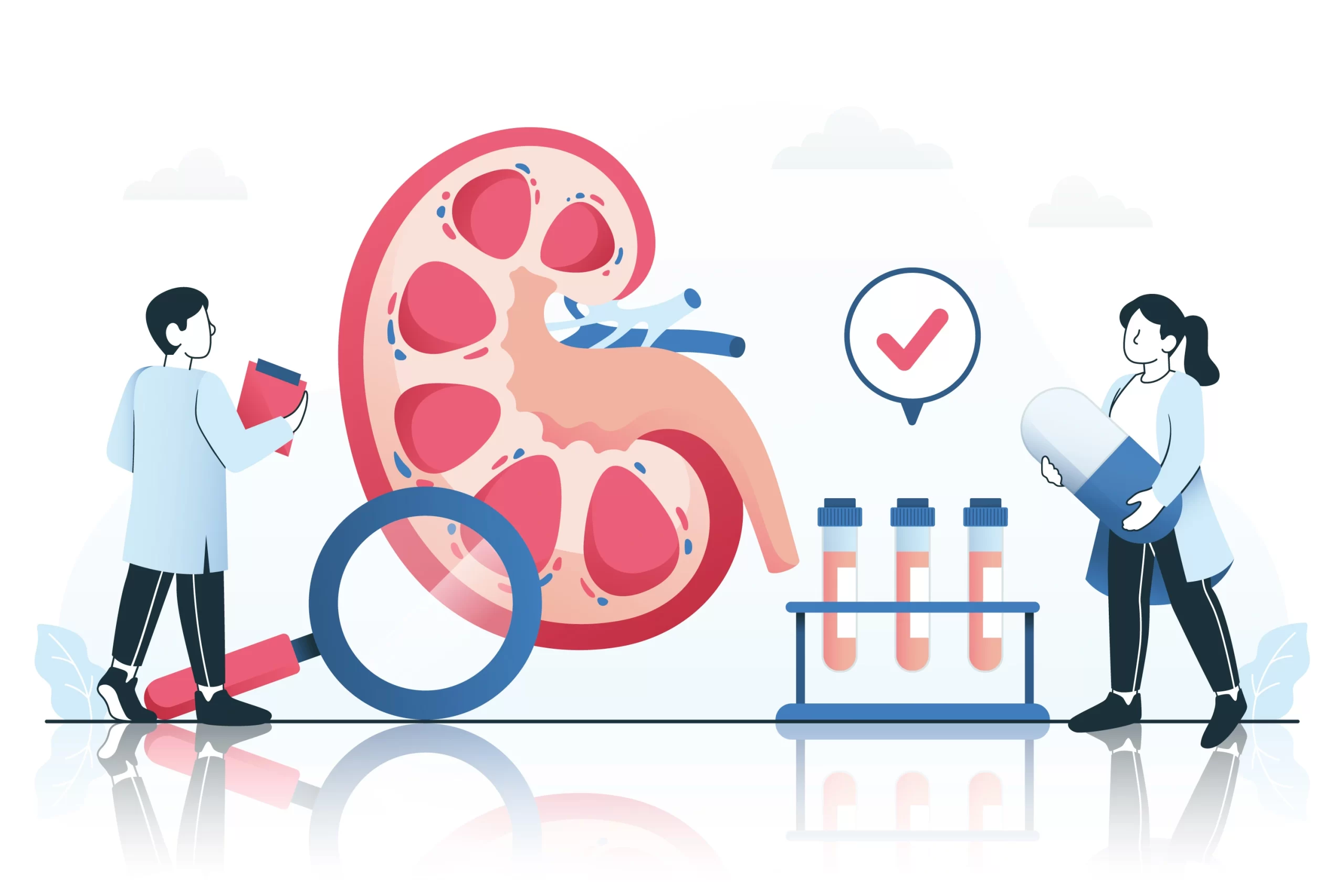 Kidney Transplantation